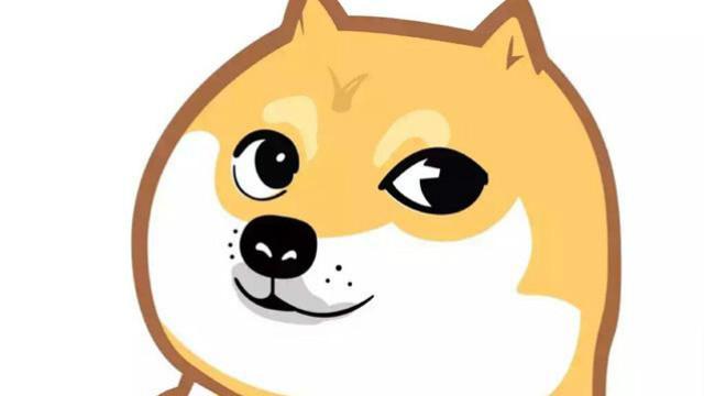 我有一只会偷胖次的柴犬丨Montaro抽风解说