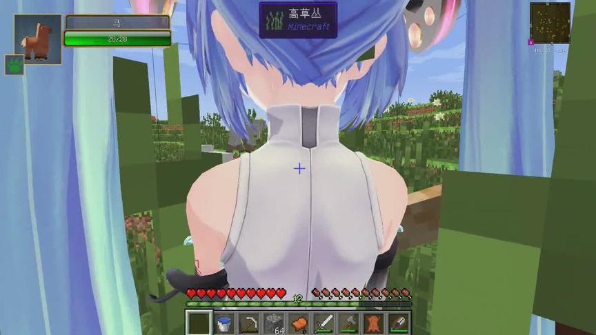 我的世界：初音骑马是什么样的？