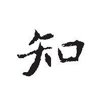 知之者头像