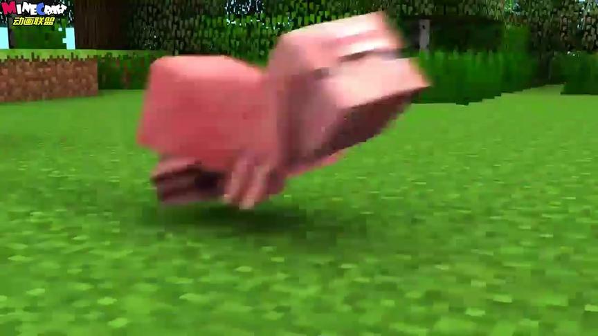 MC动画-口袋怪物在MC中的战斗-Potato Films