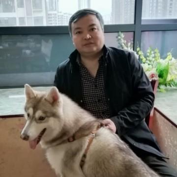 闲侃平哥头像