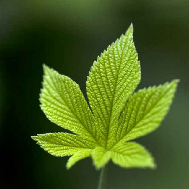 七怪90079811头像