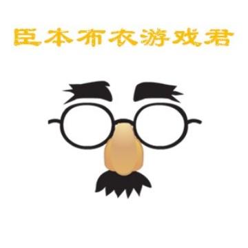 臣本布衣游戏君头像