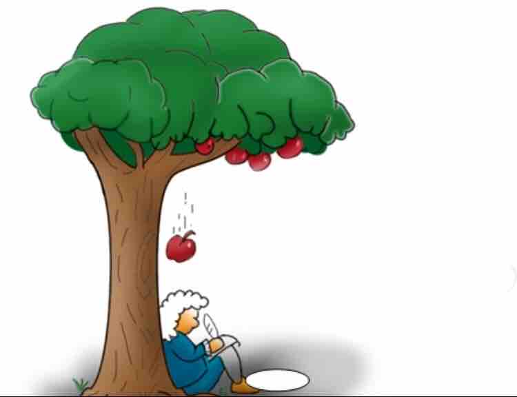 牛顿树下等苹果头像