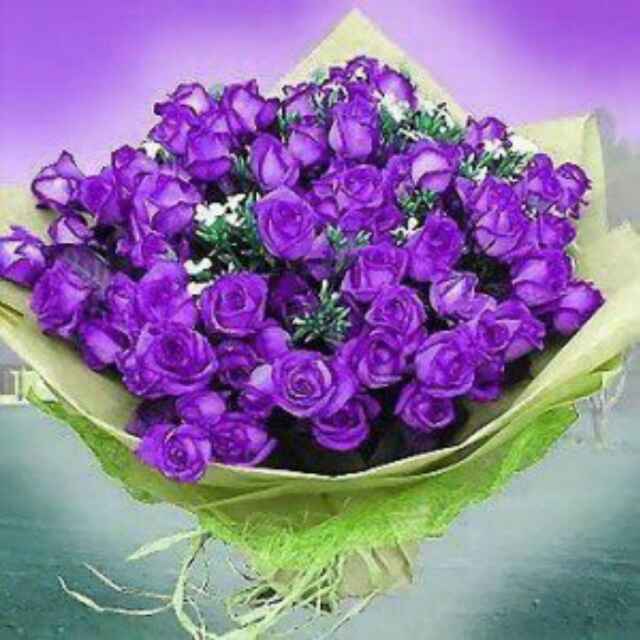 紫色头像花朵图片