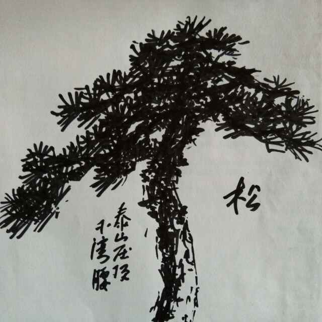 青松7688624055989头像