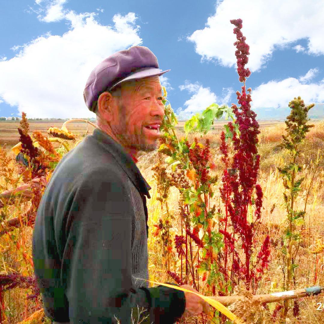 山西小郑头像