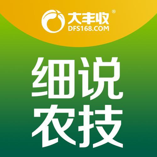 细说农技头像