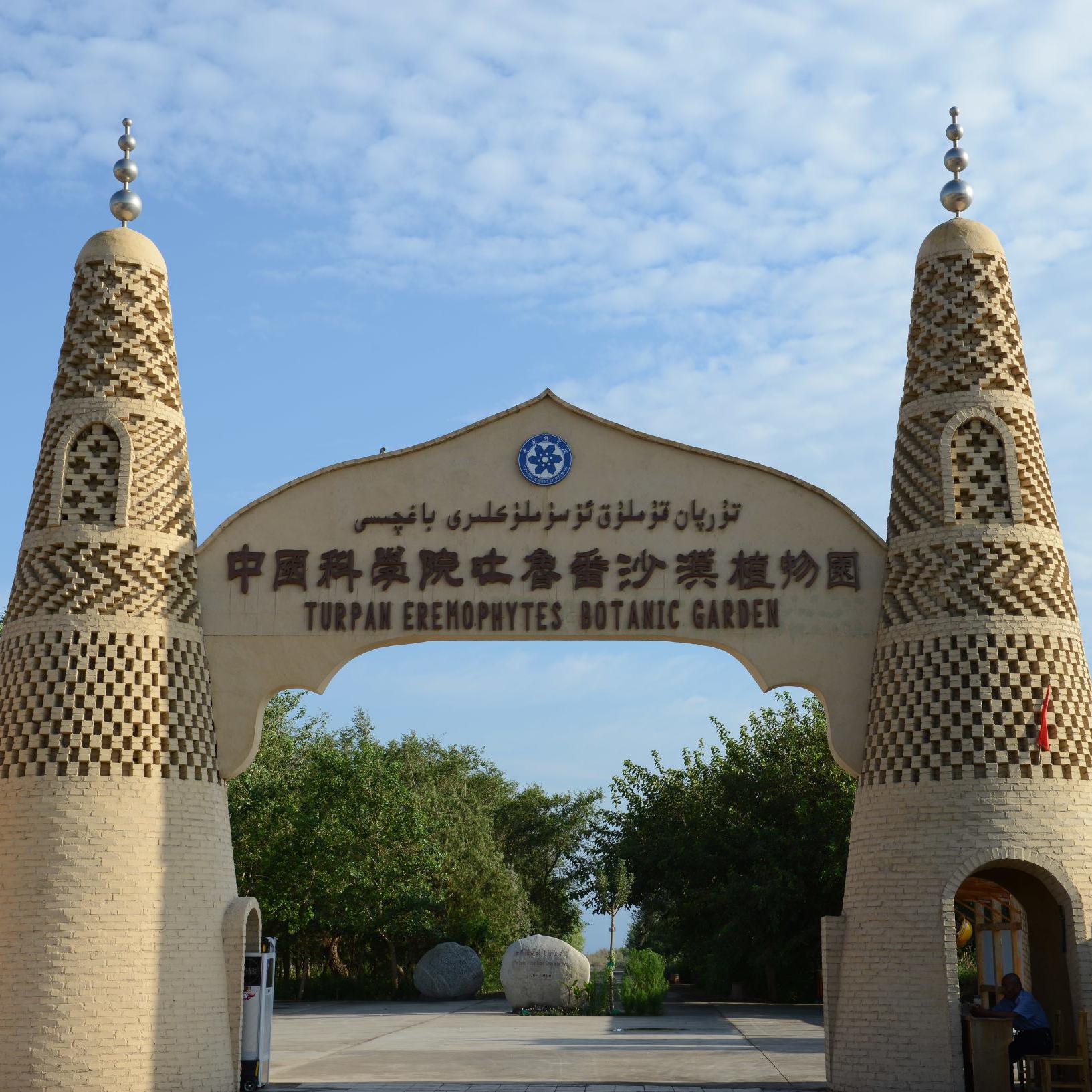 吐鲁番沙漠植物园头像