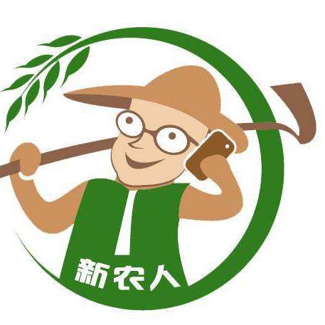 豫东小胖哥哥头像
