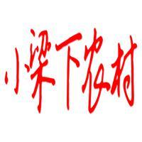小梁下农村头像