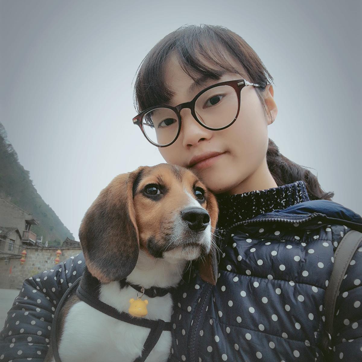 我眼中的镇远头像