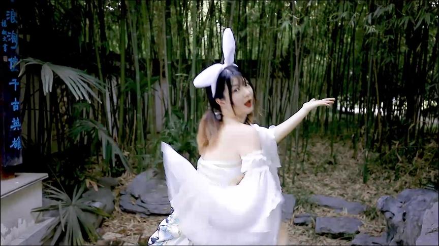 野狼和野兔成片