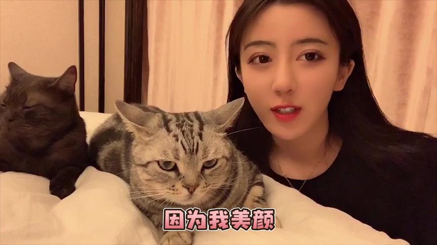 呆妹的VLOG：听说你们没看够我家的小猫咪，那就给大家在介绍一下