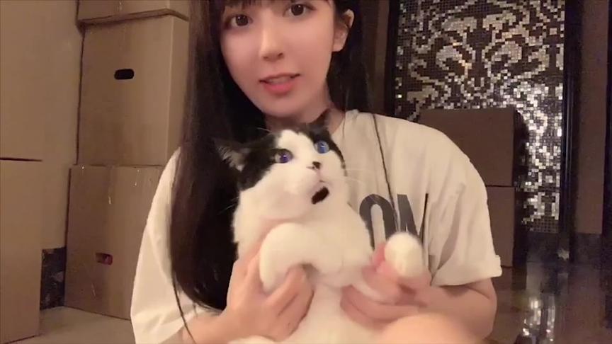 呆妹的日常Vlog：给大家看看我家的小猫咪们