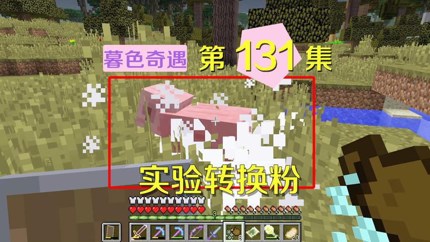 我的世界阿阳暮色奇遇131：发现女巫转换生物的秘密，竟是靠它？