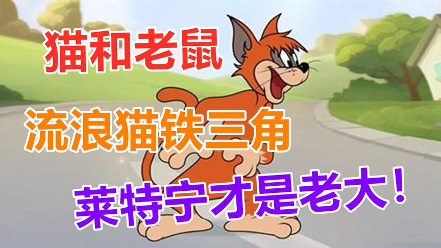 猫和老鼠：流浪猫铁三角，莱特宁才老大哥！