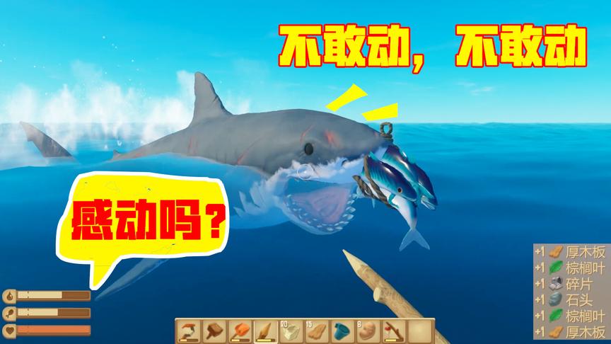 木筏求生04：下海和鲨鱼搏斗，竟然把它驯服了，这小老弟真乖！