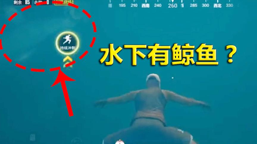 刺激战场：渔村附近水下出现鲸鱼？带领粉丝前去观看