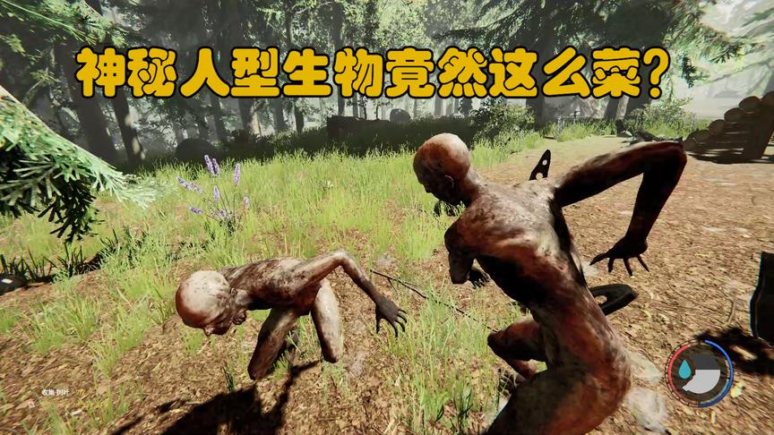 森林2：我遇到了一种野人，它竟然想取我性命，可惜东穆技高一筹