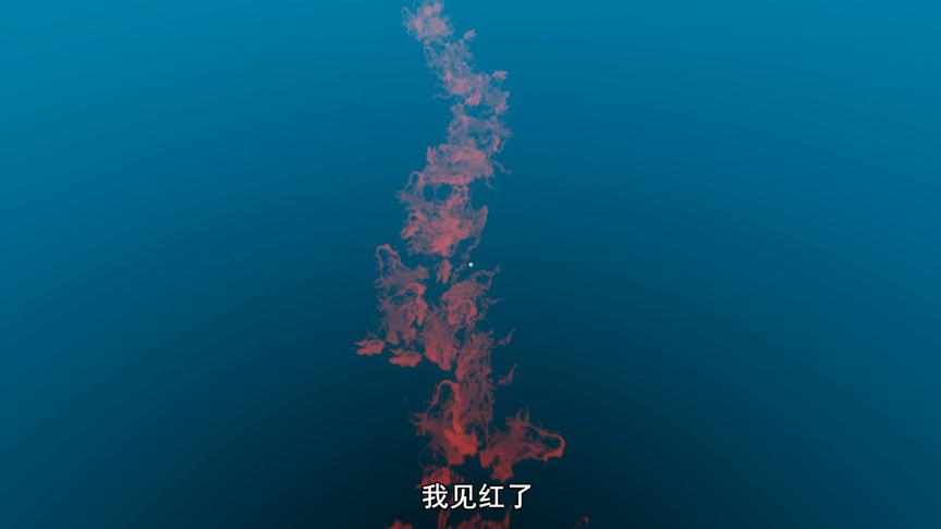 荒岛求生14：我的腿被鲨鱼咬了，见红了