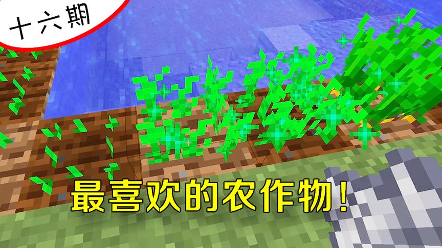 我的世界16：据说这是玩家最喜欢的农作物，还有哪种办法可以得？