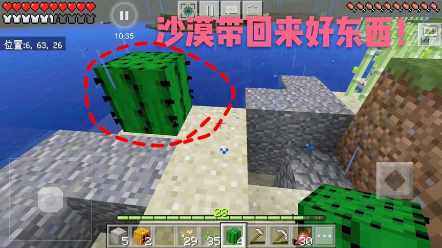 我的世界21：千里迢迢搞到一个仙人掌！不知道放家里有什么用？