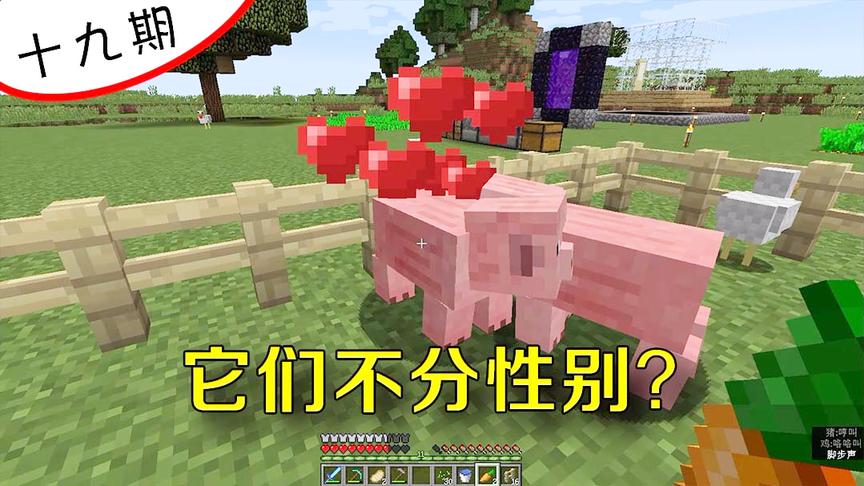 我的世界19：喂食两只小猪生出一只小猪后，我发现了一个惊天秘密
