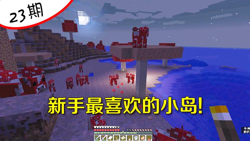 我的世界23：老玩家三年都没找到的神秘小岛，无限食物没有怪物！