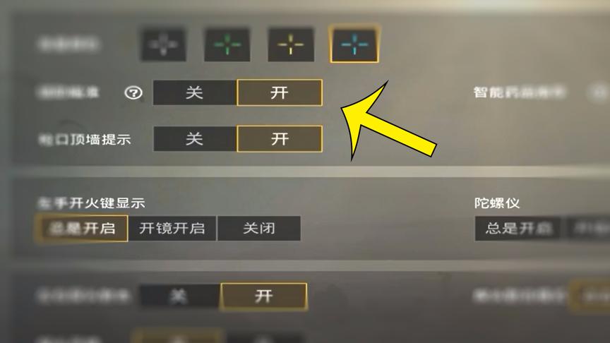 刺激战场：钻石以下开启这个按钮，吃鸡率翻倍！原谅我一直都不懂