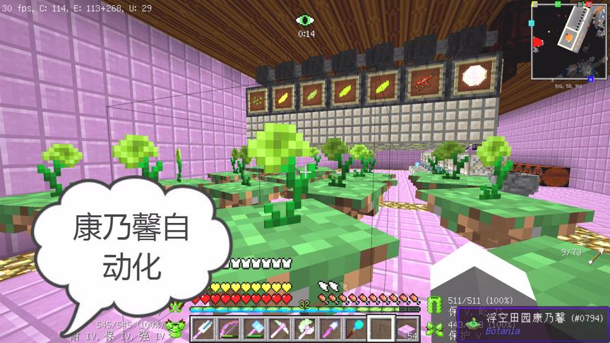 我的世界美丽新世界178：康乃馨生产自动化，田园的绿色