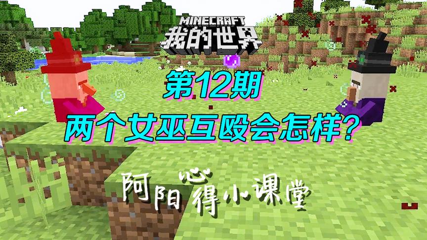 我的世界阿阳小课堂12：两个女巫互殴会怎样？最后我看不下去了！