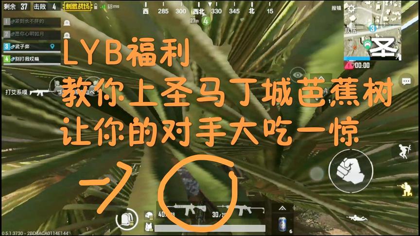 刺激战场:沙漠图教你上芭蕉树 地上已容不下你这奇才