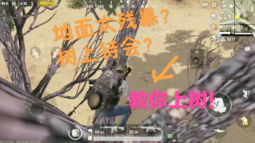 刺激战场：上树！上树！沙漠图上树！教你up tree