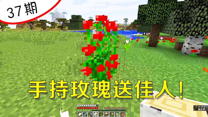 我的世界阿阳37：忍不住带了很多花回小岛，这朵花要送给佳人！
