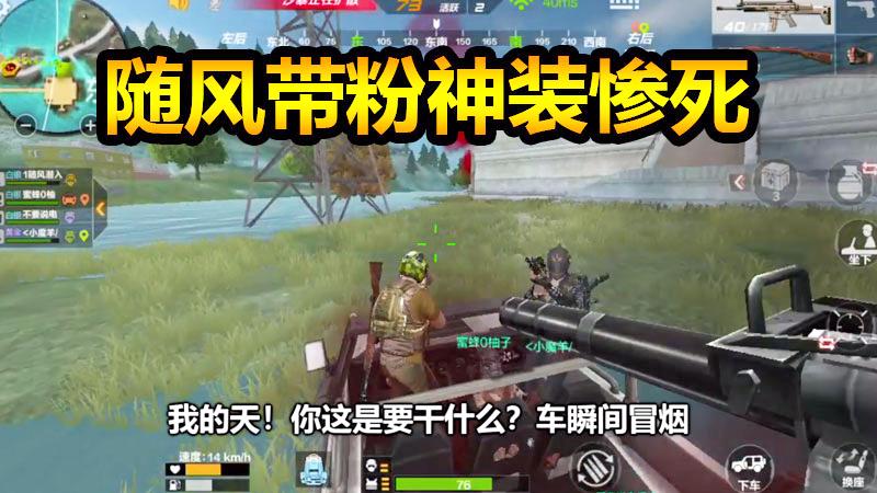 CF生存特训：随风带粉丝吃鸡，不料队友乌龙随风神装惨死