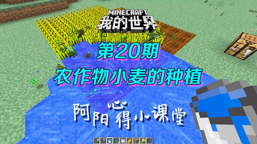 我的世界阿阳小课堂20：前期生存种植什么最好？这个最易得最简单