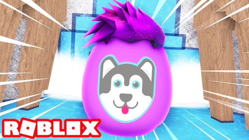 小飞象解说 Roblox蛋蛋模拟器 头号玩家蛋蛋总动员逃生小鸡快跑