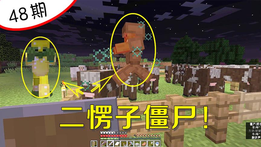 我的世界阿阳48：遇到两个全武装怪物，但是它们智商只有250！