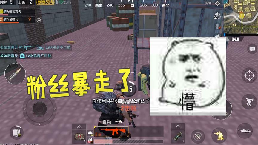 刺激战场：从未见过这么厉害的粉丝，双排一个人打倒一小半人