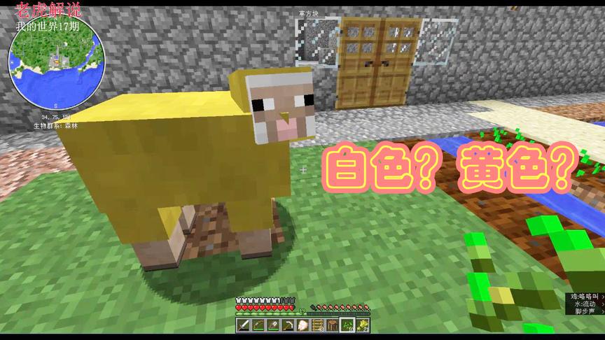 我的世界17集：获取有色羊毛的聪明方法