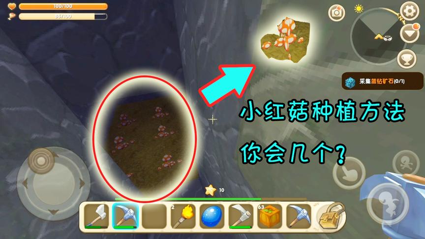 迷你世界：小粉丝从远方带来蘑菇教我种，这些种植方法你知道吗？