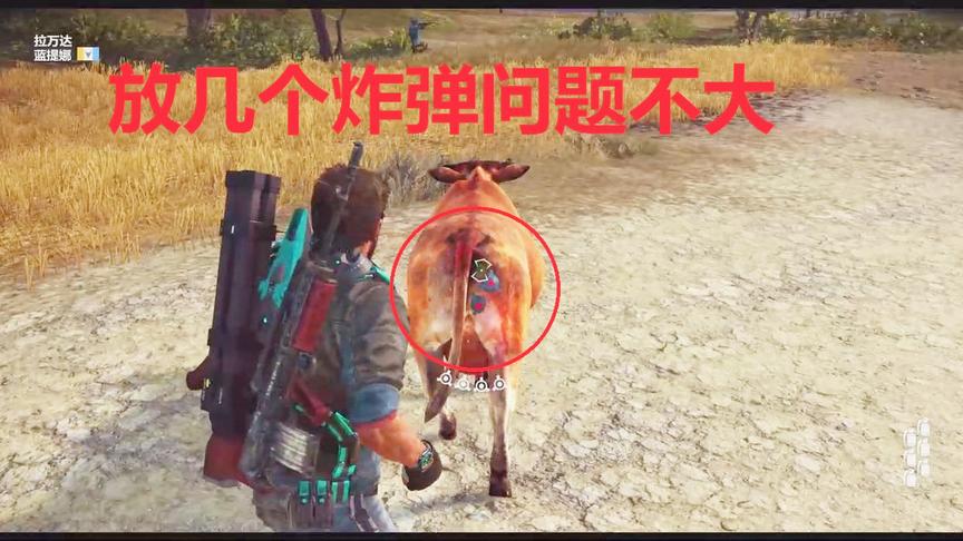 小林解说 在奶牛的屁股上安装炸弹结果会怎样