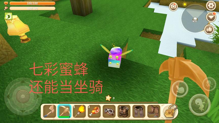 迷你世界：森林里遇到一只彩色的蜜蜂！是变异了吗还可以当坐骑！