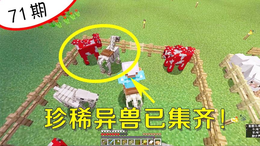 我的世界71：得哞菇和骷髅马得天下，我变成最富有的玩家！