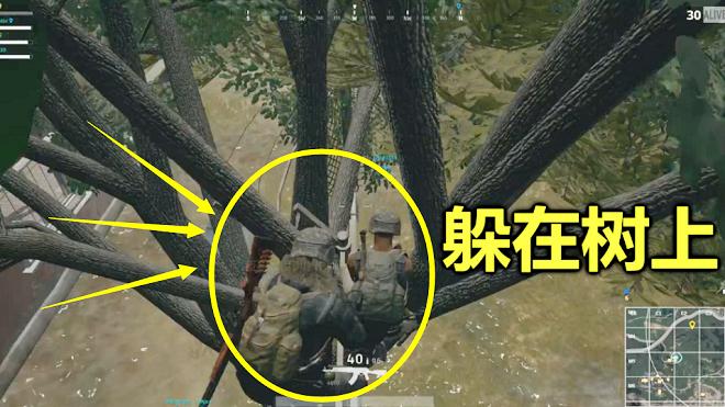 绝地求生：当4个人躲在一颗树上，就像隐身了一样，没人看的见