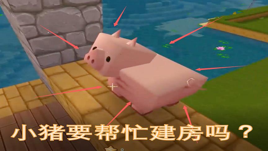 迷你世界5：我建造自己的房子，小猪你是看不惯我干活来帮忙的吗