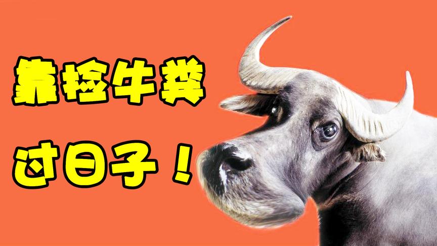 神经哥竟无聊到玩这种游戏，靠捡牛粪过日子！