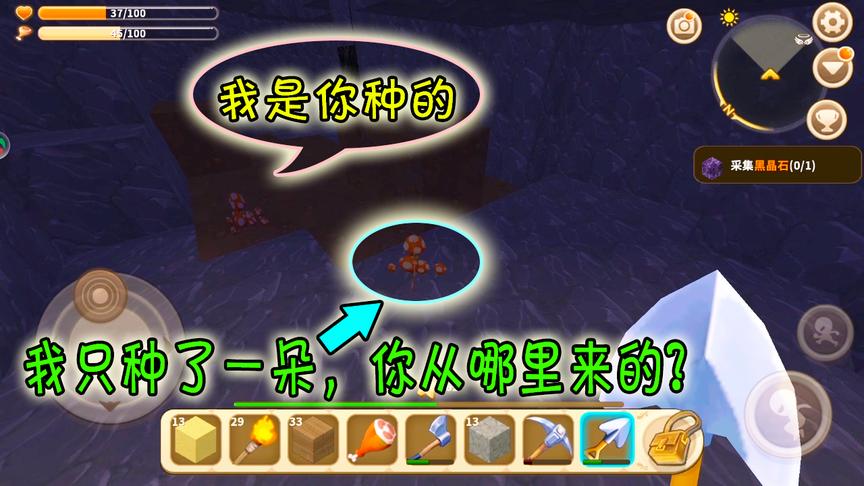 迷你世界：我种下一朵蘑菇，挖了几块沙的时间，就多了个蘑菇宝宝