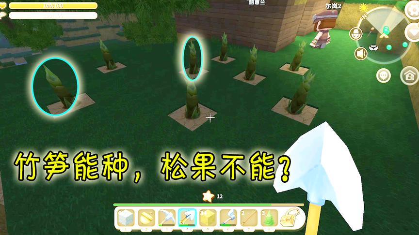 迷你世界：小粉丝远行，带回的竹笋可以这样种，为什么松果不可以